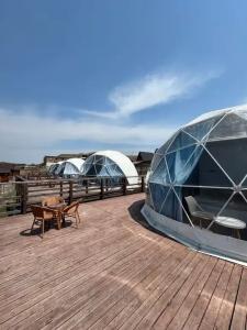 Аквариум - 149