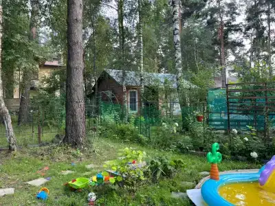 Дом в сосновом бору с гортензиями - 136