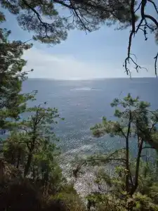 Аммонит - СевКавТисиз - 22