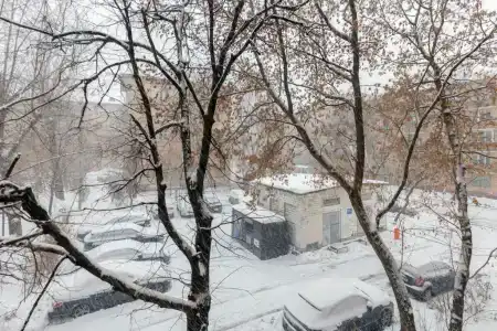 Улица Васильевская - 18