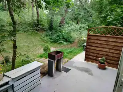Дом в сосновом бору - 0