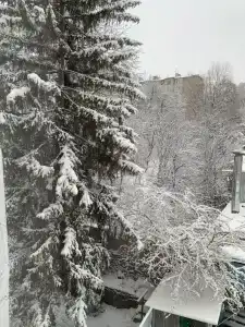 Квартиры на Ермолова 7 - 124