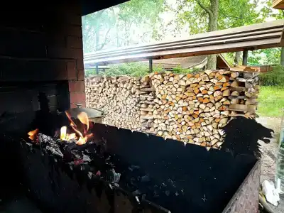 Парголово - 14