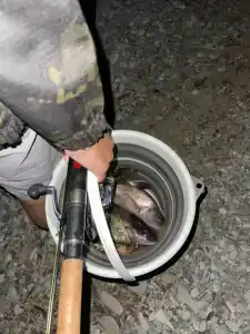 Аммонит - СевКавТисиз - 47