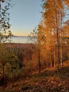 Уница - 113