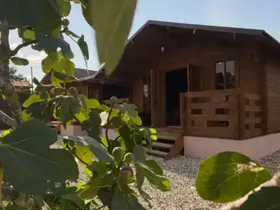 Cottage house - 2