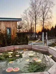 Семейная мини-ферма Фазенда - 109