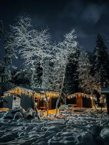 SkyWood - 2