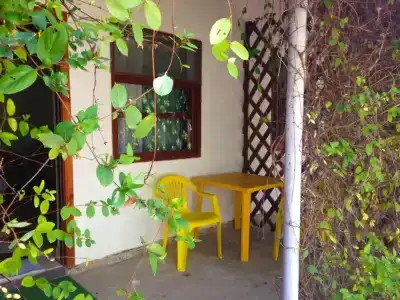 Отрада Плюс - 8