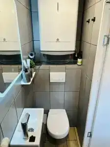 Хвоя - 12