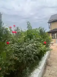 Дом на берегу Каспийского моря - 58