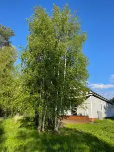 Сямозерский хуторок - 4