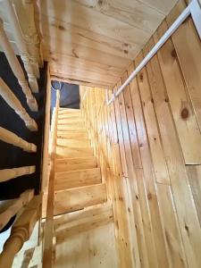 Медвежья поляна - 35