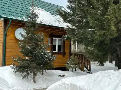 Дом с сауной на участке с хвойным лесом - 1