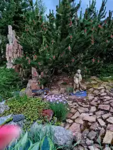 Шале в Котовицах - 32