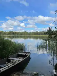 Дом с баней в деревне Дресвищи - 29