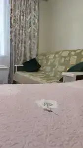 Квартиры на Малой Садовой 20 - 171