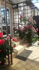 Тихое, спокойное место в СНТ Лазурное - 38