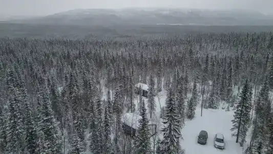 Частный дом среди леса - 75