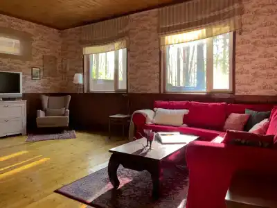Дача в соснах - 2