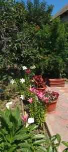 все в нем - 13