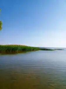 Гостевой дом рядом с лесом - 6