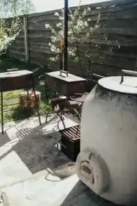 Васильки - 20