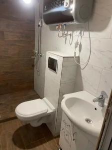 Уютный деревенский домик с русской баней возле озера в Большой Ухолоде - 35