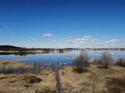 Озеро и лес - 15