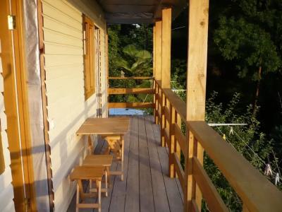 Среди сосен - 19