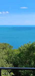 Остановка Море - 0