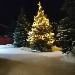 У Федота - 39