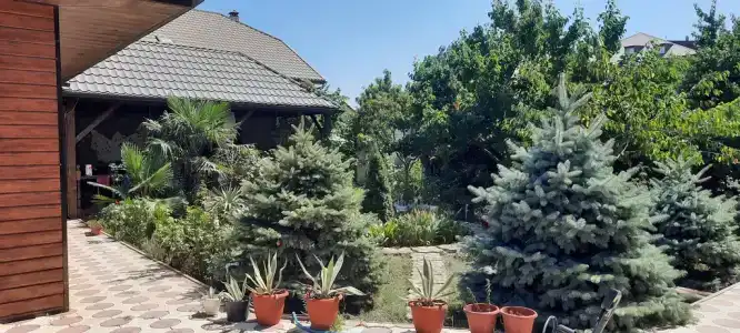 Гостевой домик с видом на пальмы - 10