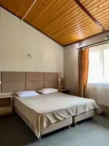 Аммонит - 44