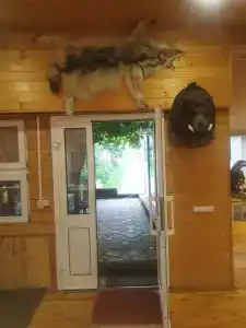 Агроусадьба На Птичи - 20