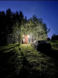 Домик в лесу в СНТ Лесной - 15