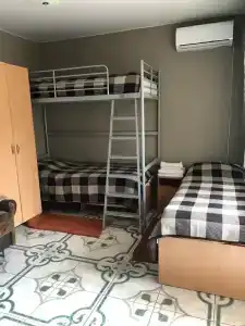 Кипарис - 186