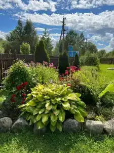 Семейный с Баней - 80