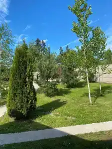Простоквашино - 23
