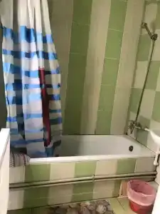 Кипарис - 136