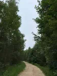 Избушка в лесу - 65