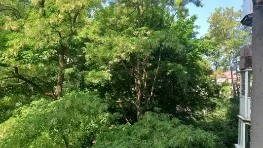 Квартиры на 9 Апреля 62 - 46