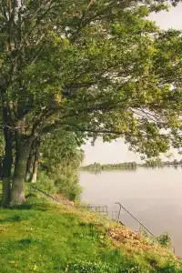 Дуб и море - 29