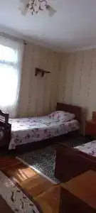 Бамбук - 5