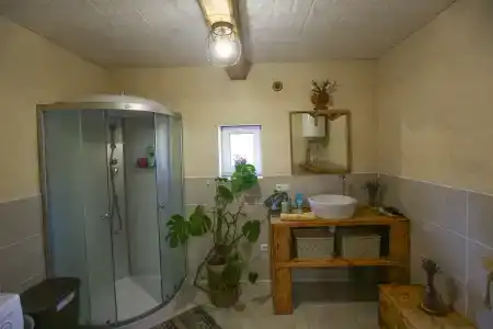 Пралеска - 8