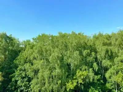 Квартиры на аллее Первой Маёвки 15 - 397