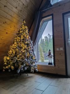 A-frame Сосновый бор - 123