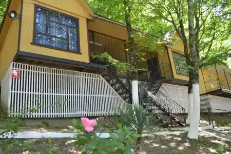 Аммонит - СевКавТисиз - 0