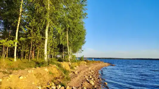 Новый дом у озера с баней в бору - 94