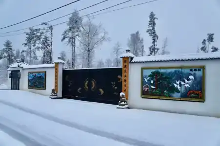 Хэйлун - 369